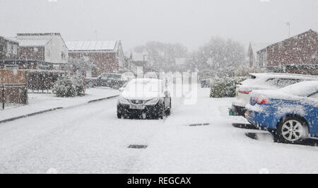 Princes Risborough, Buckinghamshire, Großbritannien. 22. Januar, 2019. UK Wetter. Schwere Schnee in Buckinghamshire. Princes Risborough. Credit: Susie Kearley/Alamy leben Nachrichten Stockfoto