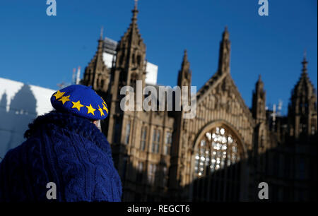 London, Großbritannien. 22 Jan, 2019. Ein anti-Brexit Demonstrator steht außerhalb der Häuser des Parlaments in London, Großbritannien auf Jan. 22, 2019. Der britische Premierminister Theresa May am Montag gesagt, daß Sie nicht wieder eine no-deal Brexit oder Verzögerung der Abreise des Landes aus der Europäischen Union (EU). Kann die Erläuterungen bei der Adressierung der Gesetzgeber im Unterhaus ihre jüngsten Vorschläge für Großbritanniens Austritt aus der EU zu skizzieren. Credit: Han Yan/Xinhua/Alamy leben Nachrichten Stockfoto