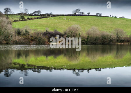 Reflexion in der immer noch Wasser in Porth Reservoir in Cornwall. Stockfoto