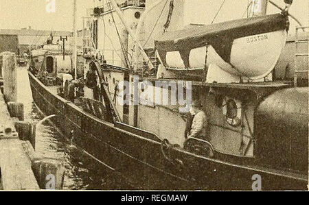 . Die kommerzielle Fischerei. Fischerei Fischhandel. Dezember 1953 die kommerzielle Fischerei ÜBERPRÜFUNG TRANSPORT VON FISCH ZU LABOR. Die Delaware zurück zum Pier am Labor für experimentelle Arbeiten zu entlasten. Bitte beachten Sie, dass diese Bilder sind von der gescannten Seite Bilder, die digital für die Lesbarkeit verbessert haben mögen - Färbung und Aussehen dieser Abbildungen können nicht perfekt dem Original ähneln. extrahiert. In den Vereinigten Staaten. National Marine Fischerei Service; US, Fisch und Wildlife Service; in den Vereinigten Staaten. Büro der Commericial Fischerei. [Washington]: Nationale Marin Stockfoto