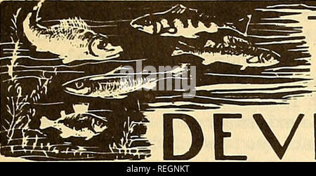 . Die kommerzielle Fischerei. Fischerei Fischhandel. Oktober 1949 die kommerzielle Fischerei ÜBERPRÜFUNG 23. TRENDS UND. Bitte beachten Sie, dass diese Bilder sind von der gescannten Seite Bilder, die digital für die Lesbarkeit verbessert haben mögen - Färbung und Aussehen dieser Abbildungen können nicht perfekt dem Original ähneln. extrahiert. In den Vereinigten Staaten. National Marine Fischerei Service; US, Fisch und Wildlife Service; in den Vereinigten Staaten. Büro der Commericial Fischerei. [Washington]: National Marine Fischerei Service; [für Verkauf durch die Supp. von Docs. , Us Govt. Drucken. Aus. ] Stockfoto