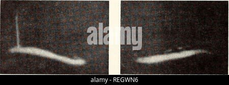 . Gesammelte Reprints, Essa Institut für Ozeanographie. Ozeanographie Zeitschriften.. . Bitte beachten Sie, dass diese Bilder sind von der gescannten Seite Bilder, die digital für die Lesbarkeit verbessert haben mögen - Färbung und Aussehen dieser Abbildungen können nicht perfekt dem Original ähneln. extrahiert. Institut für Ozeanographie; Atlantic Oceanographic Labors (U. S.); Pazifik ozeanographische Laboratorien; in den Vereinigten Staaten. Environmental Science Services Administration. Research Laboratories. Washington, D.C.: US Abt. für Handel, Environmental Science Services Administration, Forschung Stockfoto