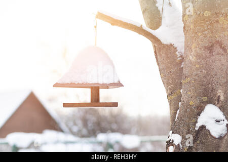 Bird Feeder hängt an einem Baum im Winter Stockfoto