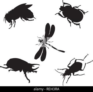 Satz von Insekten Vector Illustration Stock Vektor