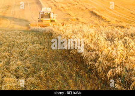 Mähdrescher auf einem Feld Hafer arbeiten Stockfoto