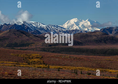 Die schneebedeckten Denali steigt über den Herbst Tundra in Denali National Park Stockfoto