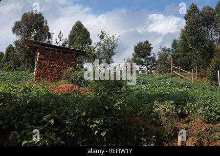 Ein Landarbeiter Hütte in einem kleinen Gehöft, Uganda Stockfoto