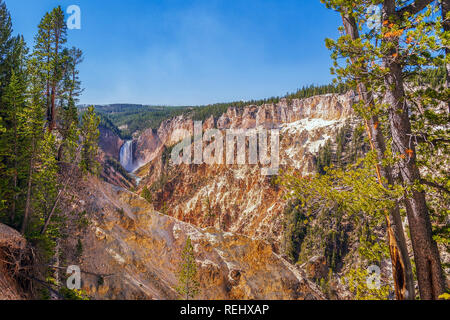 Blick auf den Grand Canyon Yellowstone und Lower Falls vom Artist Point Trail. Yellowstone National Park. Wyoming. USA Stockfoto