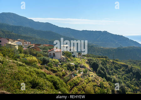 Volastra ist alt Dorf im Nationalpark Cinque Terre. Italien. Stockfoto