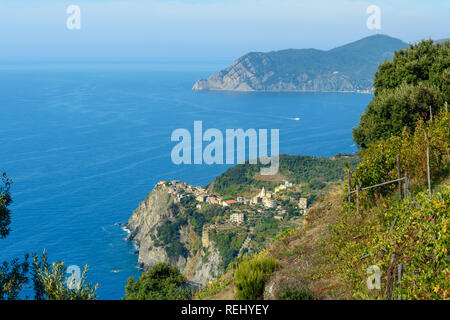 Blick auf Corniglia aus Berg in der Küste von Ligurien, Cinque Terre. Italien Stockfoto