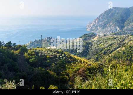 Blick auf Monterosso al Mare und Punta Mesco aus Berg. Cinque Terre. Italien Stockfoto