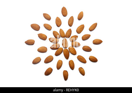 Eine Sammlung von geschälten Mandeln Nüsse liegt in der Form eines Kreises oder einer Sonne auf einer isolierten weißen Hintergrund mit Freistellungspfaden. Geschälte Mandeln Muster Stockfoto