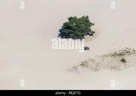 Die Niederlande, Soest, Heideland und Sand Ebenen Soesterduinen genannt. Frau Reiter Pferd und Hund. Antenne. Stockfoto