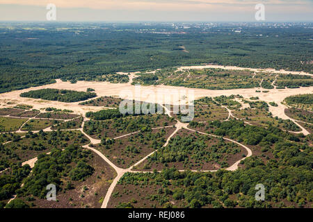 Die Niederlande, Soesterberg, ehemalige Militärbasis. Blühende Heidekraut. Antenne. Stockfoto