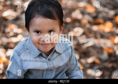 Einen jungen Latino Boy mit einem netten Lächeln suchen Thoughful und freundlich in einem Feld der getrockneten Blätter im Herbst. Stockfoto