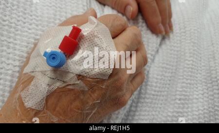 Patienten mit IV periphere Intravenöse Kanüle verbunden mit Hand Stockfoto