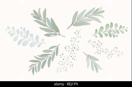 Set mit schönen Zweige mit Blättern. Hochzeit Schmuck Konzept. Nachahmung von Aquarell, isoliert auf Weiss. Skizziert Kranz, Blumen und Kräuter Girlande Stock Vektor