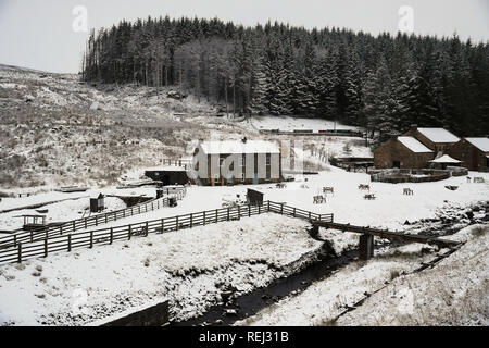 Schnee bedeckt die Killhope Lead Mining Museum in der Grafschaft Durham nach einem Band der winterlichen Wetter brachte Hill Schnee und eine Gefahr der Vereisung in weite Teile des Landes. Stockfoto