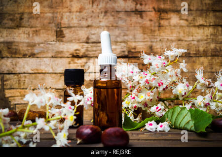 Chestnut Tinktur in eine Flasche und blühen Blumen Stockfoto