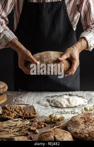 Nicht erkennbare Bäcker hält frisch gebackene rustikalen organische Laib Brot in der Hand Stockfoto