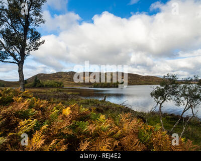 Loch Tarff in den schottischen Highlands in der Nähe von Loch Ness Stockfoto