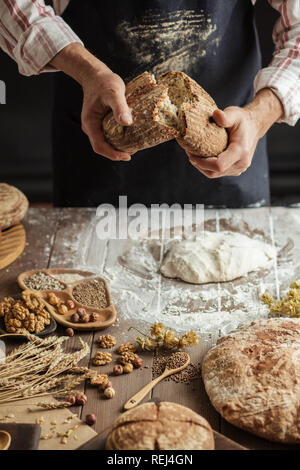 Koch, Frisch gebackenem Sauerteigbrot Stockfoto