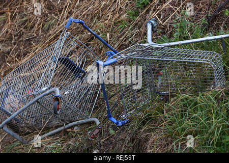 Zwei Tesco Einkaufswagen abgebildet geworfen und durch einen Fluss in Chichester, West Sussex, UK aufgegeben. Stockfoto