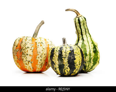 Drei Kürbisse, isoliert auf weißem Stockfoto