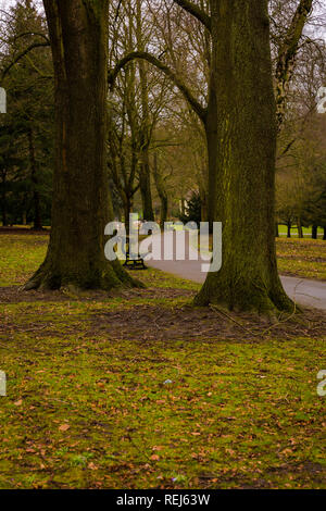 Herbst-Spaziergang im park Stockfoto