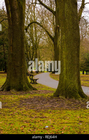 Herbst-Spaziergang im park Stockfoto