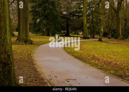 Herbst-Spaziergang im park Stockfoto