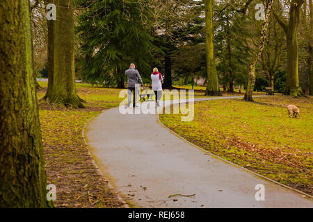 Herbst-Spaziergang im park Stockfoto