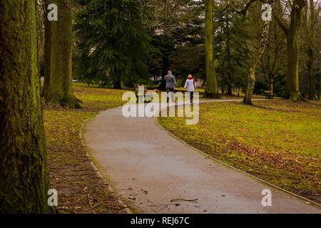 Herbst-Spaziergang im park Stockfoto