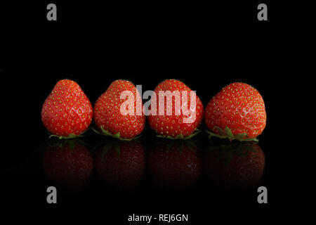 Vier Erdbeeren, isoliert auf Schwarz Stockfoto