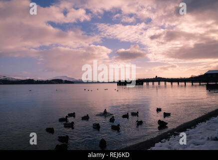 Luss Pier am Loch Lomond, Argyll, Schottland bei Sonnenaufgang mit roter Himmel und Enten in den Vordergrund Stockfoto