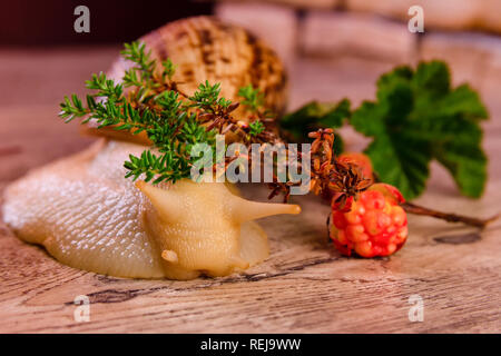 Gelb big achatina Schnecke und Moltebeeren auf einer Oberfläche Stockfoto