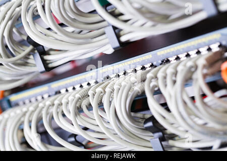 Gigabit Netzwerk Switch und perfekt ausgerichtet Patchkabel im Rechenzentrum Stockfoto