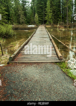 Holzbrücke im Grand Teton National Park gefunden Stockfoto