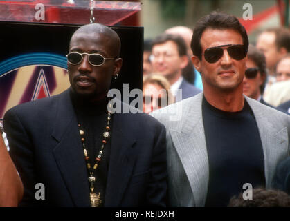 HOLLYWOOD, CA - 7. Oktober; Schauspieler Wesley Snipes und Schauspieler Sylvester Stallone besuchen Joel Silver Star erhält auf dem Hollywood Walk of Fame am 7. Oktober 1993 bei 6925 Hollywood Boulevard in Hollywood, Kalifornien. Foto von Barry King/Alamy Stock Foto Stockfoto