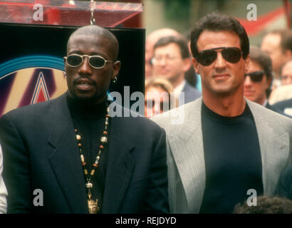 HOLLYWOOD, CA - 7. Oktober; Schauspieler Wesley Snipes und Schauspieler Sylvester Stallone besuchen Joel Silver Star erhält auf dem Hollywood Walk of Fame am 7. Oktober 1993 bei 6925 Hollywood Boulevard in Hollywood, Kalifornien. Foto von Barry King/Alamy Stock Foto Stockfoto