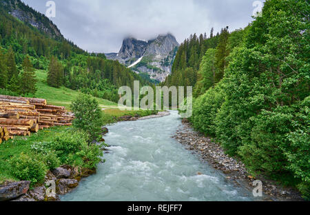 Landschaft des Rychenbachs, Wiese und grüne Natur der Schweizer Alpen an einem regnerischen Tag. Aufgenommen im Alpental Reichenbachtal, Oberhasli, Kanton Bern Stockfoto