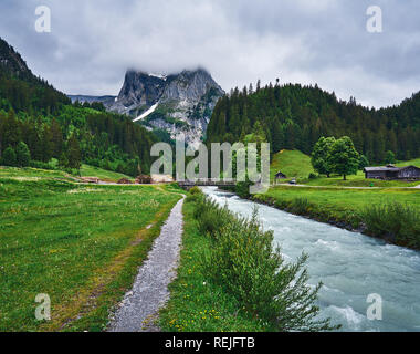 Landschaft des Rychenbachs, Wiese und grüne Natur der Schweizer Alpen an einem regnerischen Tag. Aufgenommen im Alpental Reichenbachtal, Oberhasli, Kanton Bern Stockfoto