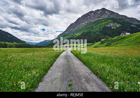 Straßenseite SIS-Alpenlandschaft mit Wiesenfluss und Kühen im Kanton Graubünden, Schweiz Stockfoto