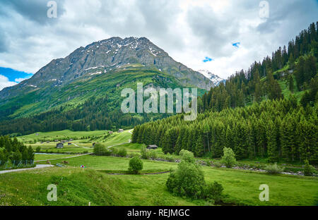 Straßenseite SIS-Alpenlandschaft mit Wiesenfluss und Kühen im Kanton Graubünden, Schweiz Stockfoto