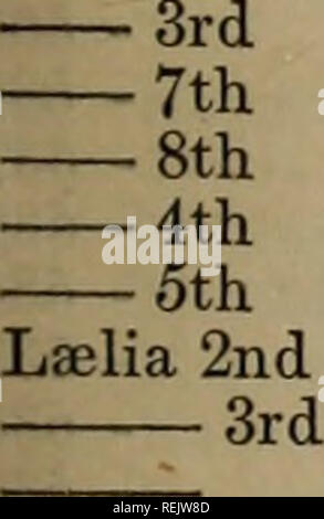 . Die coates Zuchtbuch. INDEX. XXXVll Kühe. Züchter. Khirkee 5 - Herr Marjoribanks Kirklevington 10 Bell 8 Harvey Küssen - Barnett Kissinda - SIR-C Knightley Küche Lass - Herr Colvin Maid (Yg) Lescher Material - Colvin Kätzchen Clover La Belle - CANTATRICE - Creevy. 3. 4. Spitze Lactea Milchsäure Lady Seite - 524 - 525 - 525 - 503 - 525 - 525 - 525 - 525 - 524 - 525 - 525 - 347 - 523 - 526 - 524 - 524 - 625 - 526 - 526 - 526 - 526 - 553 - 401 - 533 2. 3. 9. 10. 11. 12. 13. Thurnall - Sir W. Meilen - Col. Kingscote - Herr Frost Knox Middleton Meilen Marjoribanks Robinson Pennan Slye - Col. Stockfoto