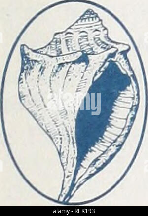 . Küste beobachten. Meeresschätze; Ozeanographie; Management von Küstenzonen; Ökologie der Küsten. Die RÜCKSEITE. "Die Rückseite" ist eine am Meer gewähren Aktivitäten - für Forschung, Bildung und Beratung. Es ist auch ein guter Ort, um sich über Konferenzen, Workshops und neue Veröffentlichungen zu finden. Weitere Informationen zu den beschriebenen Projekten, wenden Sie sich an den Sea Grant Büros in Raleigh (919/737 -2454). Wer dachte, Re-search ist nur in Laboratorien gemacht hat nicht das UNC-Meer gewähren Forscher Charles Peterson auf Händen und Knien in der Bogue Sound Marsh gesehen, Sichten die Sands für harte Stockfoto