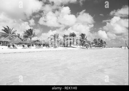 Costa Maya, Mexiko - 01. Februar 2016: Meer Strand. Blaues Wasser, weißer Sand und Palmen am tropischen Strand. Sommer Urlaub am Karibischen Meer Strand. Meer Strand entspannen. Abenteuer dort ist. Stockfoto