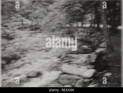 . Das Civilian Conservation Corps: die Gestaltung der Wälder und Parks von Massachusetts: einer landesweiten Umfrage der Civilian Conservation Corps Ressourcen. Civilian Conservation Corps (U. S.); Naturschutzgebiete; Öffentliche landen; Parks. L&gt; ar&gt;;;;;;;;. .: &Gt;.; ... .7 jraj Druo Beschreibung der Ressource Willard Bach State Forest besteht aus 2.380 Hektar stark bewaldeten Hügel liegen vor allem im Süden von Willard Brook und Route] 1 9 entlang dem Bach. Es gibt ein paar CCC-LKW-Spuren, Entwässerung Strukturen und Wasserlöcher im Wald, aber die meisten Freizeit- Entwicklung Stockfoto