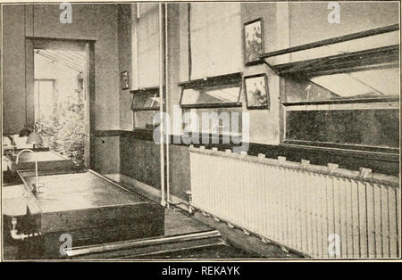 . Civic Biologie; Lehrbuch der Probleme, lokaler und nationaler Ebene, die nur durch die bürgerliche coöperation gelöst werden können. Biologie. 302 CIVIC Biologie und der Gefahr einer Unterbrechung der Flucht jDipe, und der daraus resultierenden Überschwemmung der Gebäude, ist eine zu große Gefahr. Die absolute Regel sollte sein, dass man j^ Ersonen die alleinige Verantwortung für ein Aquarium nehmen und niemand sonst Pro-mitted, irgendetwas in oder nehmen Sie nichts aus, sie zu setzen. Solange die Aqua-rium ist ausgewogen und verwaltet, die Wasser brauchen nicht geändert werden. Wasser ist immer Wasser, und als es verdunstet, reinigen Teich oder Bach Wasser. Abb. 141. Biologische Laborat Stockfoto