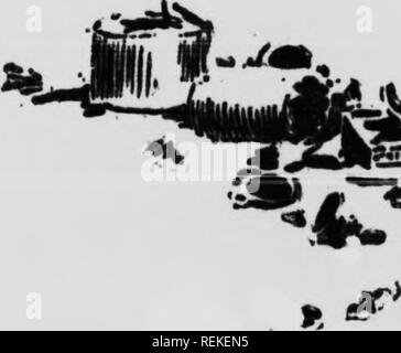 . Wilde Tiere zu Hause [microform]. Tiere; Zoologie; Animaux; Zoologie. Der bcatf Hlgii und niedrige Dcfiee mfle oflF im Wald. Es, sagten sie, ich konnte sehen, wie viele Bohnen wie ich mOud, wbich absurd war. IBS-TAG AM GASBAGS FIU Früh am nächsten Morgen ich equipp mich Ed mit Pen-cils, Papier und Kamera, und für die gar-Bage Flor. Zuerst habe ich aus dem Gebüsch beobachtet, etwa 75 Meter entfernt, aber später habe ich ein Loch in die stinkende Haufen selbst, und blieb es den ganzen Tag lang, Skizzieren und Snapshots die Bären, die kamen und gingen, in größere Li imbcrs wie der Tag mui Closin Stockfoto